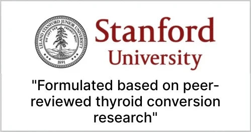 Stanford University