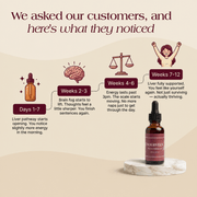 Nourveen liver and thyroid support customer timeline infographic from days 1 to 7 through weeks 7 to 12